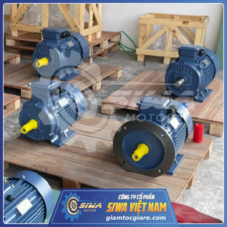 Motor điện 3 pha